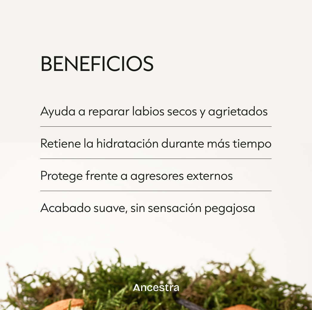 Bálsamo de Labios